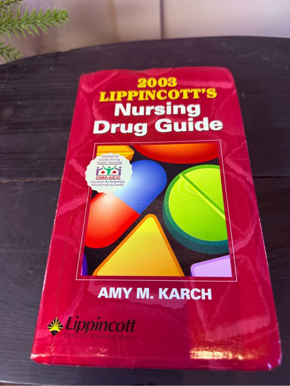 2003 Lippincott's Nursing Drug Guide - Amy M. Karch (Paperback, 2003)